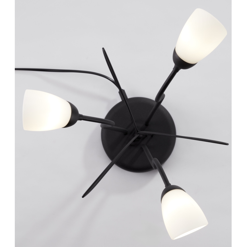 Jupiter 2065 - Bordlampe GLORIOSA 3xG9/14W/230V sort