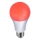 JUST LIGHT. 08132-14 - LED-pære LILUCO E27/4W/230V rød