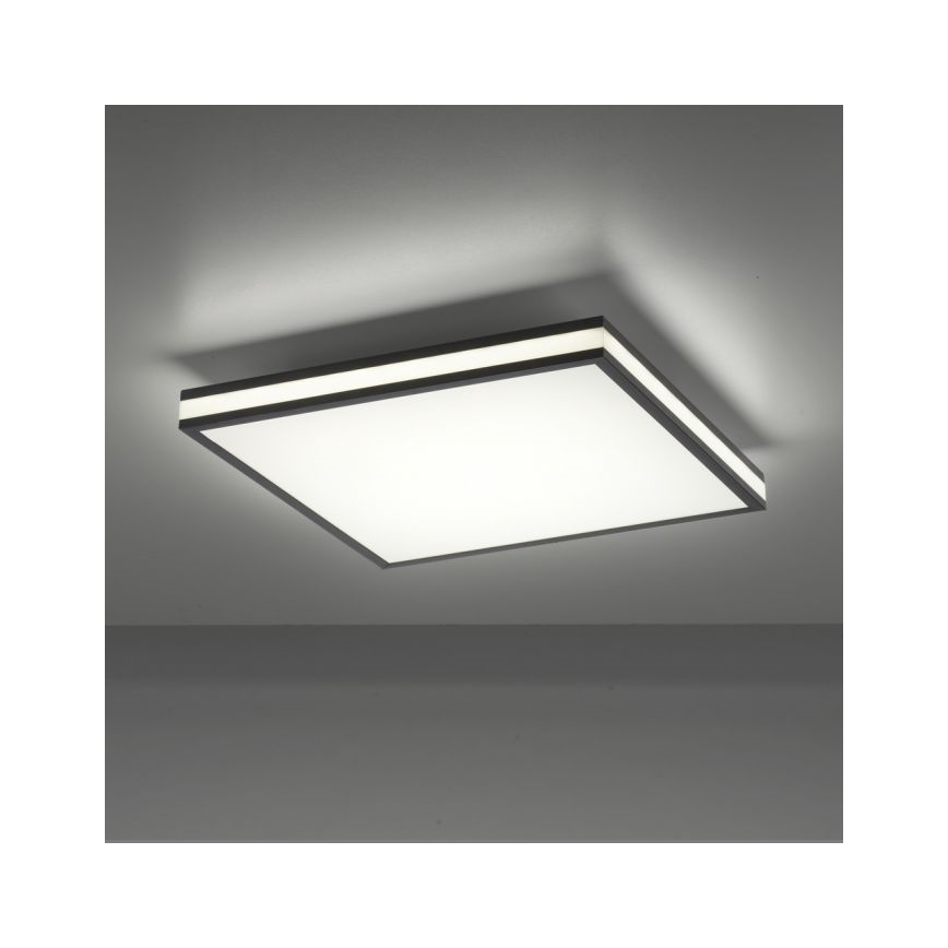JUST LIGHT. 14110-18 - LED loftlampe m. RGBW-farver dæmpbar MARIO BLACK LED/19,5W/230V 2700-5000K + fjernbetjening