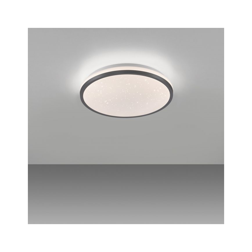 JUST LIGHT. 14293-18 - LED loftlampe dæmpbar KYLE LED/10W/230V diameter 28 cm sort