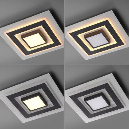 JUST LIGHT. 14439-21 - LED-loftlampe CICHIO LED/18,5W/230V + LED/9W 40x40 cm sort