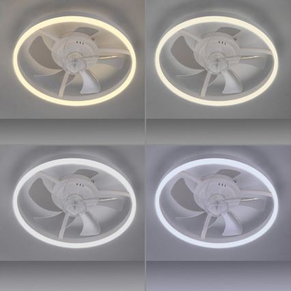 JUST LIGHT. 14624-16 - LED-dæmpbar loftventilator med lys RITA LED/22W/230V 3000-6000K Ø 50 cm hvid + fjernbetjening