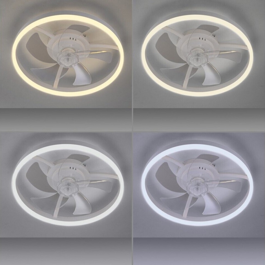JUST LIGHT. 14624-16 - LED-dæmpbar loftventilator med lys RITA LED/22W/230V 3000-6000K Ø 50 cm hvid + fjernbetjening