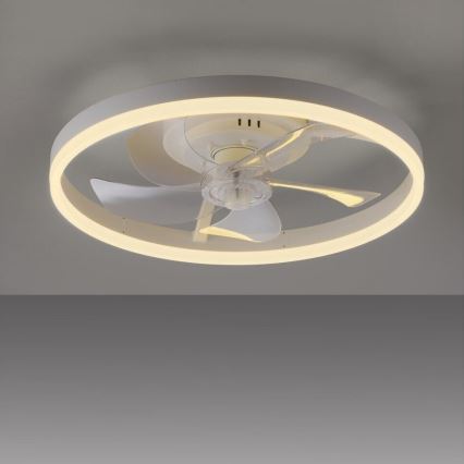 JUST LIGHT. 14624-16 - LED-dæmpbar loftventilator med lys RITA LED/22W/230V 3000-6000K Ø 50 cm hvid + fjernbetjening