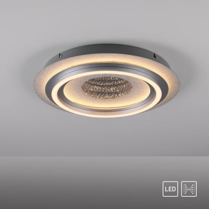 JUST LIGHT. 15089-21 - LED loftlampe CICHIO LED/36W/230V Ø 40 cm mat krom