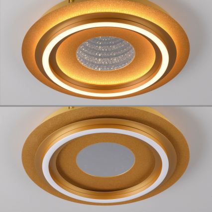 JUST LIGHT. 15089-60 - LED loftlampe CICHIO LED/36W/230V Ø 40 cm guld