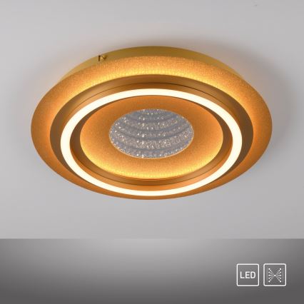 JUST LIGHT. 15089-60 - LED loftlampe CICHIO LED/36W/230V Ø 40 cm guld