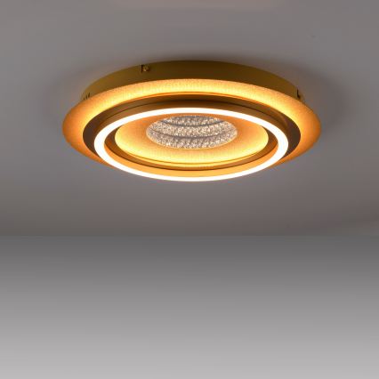 JUST LIGHT. 15089-60 - LED loftlampe CICHIO LED/36W/230V Ø 40 cm guld