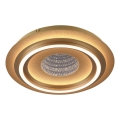 JUST LIGHT. 15089-60 - LED loftlampe CICHIO LED/36W/230V Ø 40 cm guld