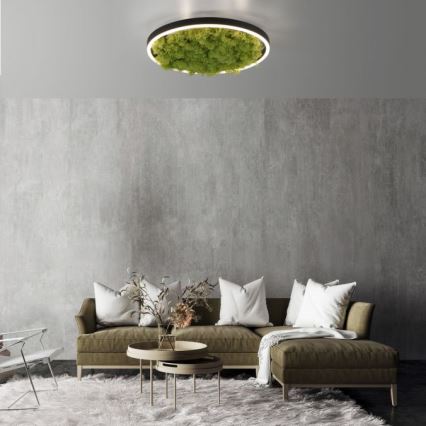 JUST LIGHT. 15391-66 - LED loftlampe dæmpbar GRØN RITU LED/20W/230V