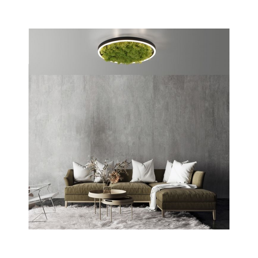 JUST LIGHT. 15391-66 - LED loftlampe dæmpbar GRØN RITU LED/20W/230V