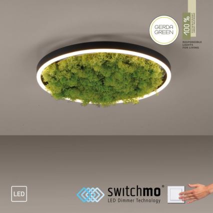 JUST LIGHT. 15391-66 - LED loftlampe dæmpbar GRØN RITU LED/20W/230V