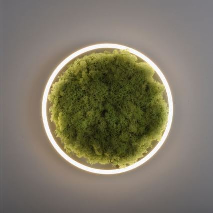 JUST LIGHT. 15391-66 - LED loftlampe dæmpbar GRØN RITU LED/20W/230V