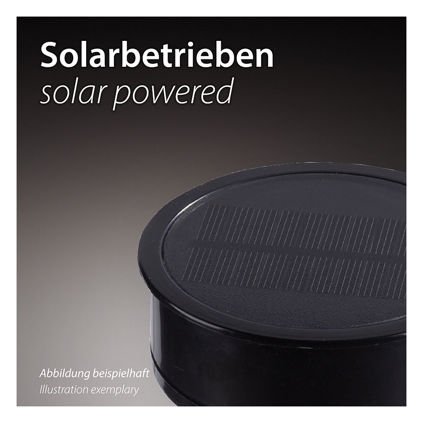 JUST LIGHT. 19106-18-3 - SÆT 3x LED solcellelampe FACKEL LED/0,24W/1,2V 200 mAh IP44 sort