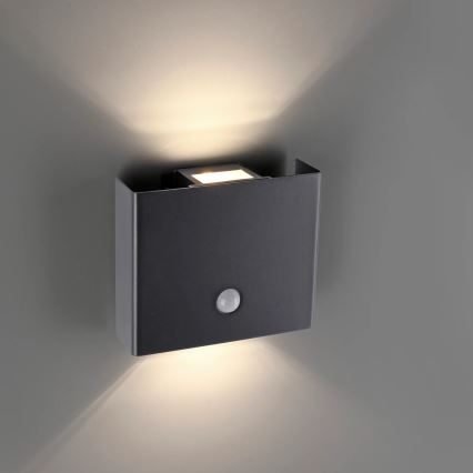 JUST LIGHT. 19471-18 - LED Udendørs væglampe med sensor AMIN 2xLED/1,25W/3,7V 4400mAh IP44 sort