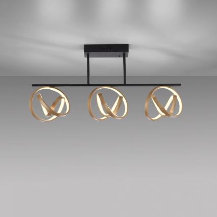 JUST LIGHT. 6245-18 - LED loftlampe dæmpbar LOOP 3xLED/11W/230V 2700-5000K + fjernbetjening