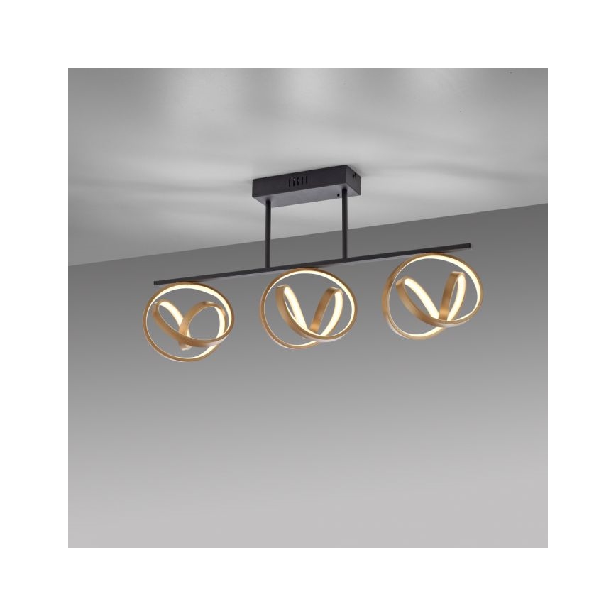 JUST LIGHT. 6245-18 - LED loftlampe dæmpbar LOOP 3xLED/11W/230V 2700-5000K + fjernbetjening