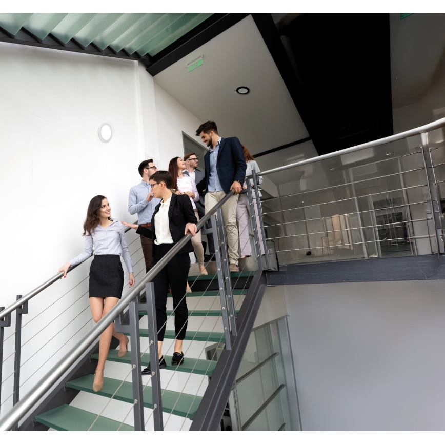 LED Loft/Indbygningslampe med bevægelsessensor 02.01.2001 ERGA LED/17W/230V 3000/4000/6500K hvid