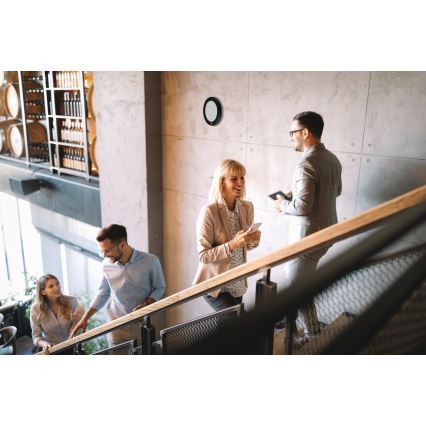 LED loft-/indbygningsarmatur 2-i-1 ERGA LED/17W/230V 3000/4000/6500K sort