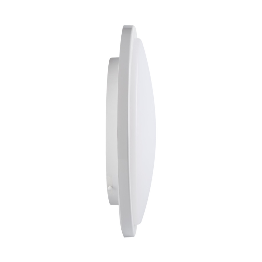 LED loftlampe til badeværelse ORTE LED/24W/230V IP54