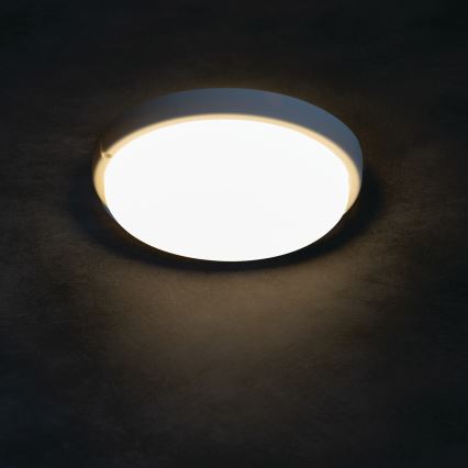 LED loftlampe til badeværelse TOLU LED/9W/230V 4000K IP54 hvid