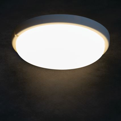 LED loftlampe til badeværelse TOLU LED/18W/230V 4000K IP54 hvid