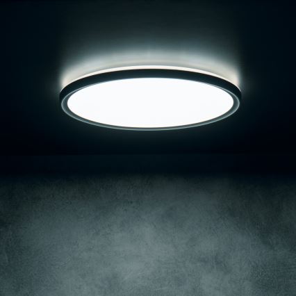 LED loftlampe AZPO LED/11,8W/230V 3000/4000/6000K Ø 22,5 cm IP54 sort