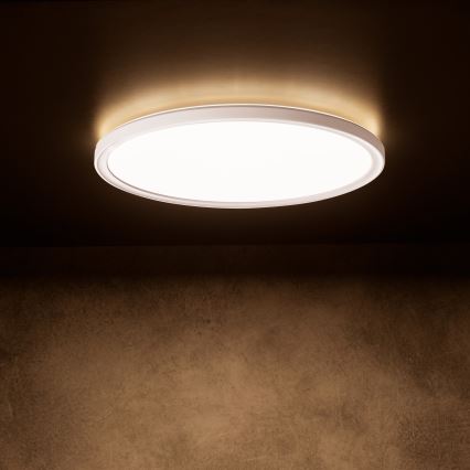 LED loftlampe AZPO LED/18,5W/230V 3000/4000/6000K Ø 29 cm IP54 hvid