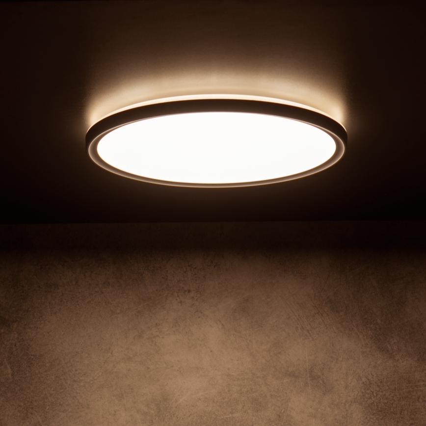 LED loftlampe AZPO LED/22W/230V 3000/4000/6000K Ø 42 cm IP54 sort
