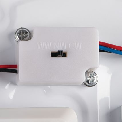 LED badeværelsesloftlampe CORSO LED/24W/230V 3000/4000/6500K Ø 38 cm IP44