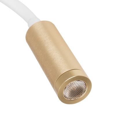 LED fleksibel lampe TONIL LED/3,3W/230V hvid/guld