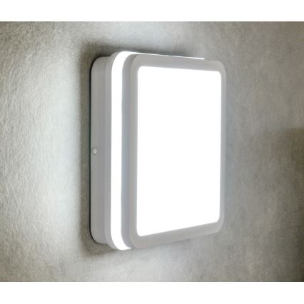 Udendørs LED loftlampe med sensor BENO LED/18W/230V 4000K IP54 hvid