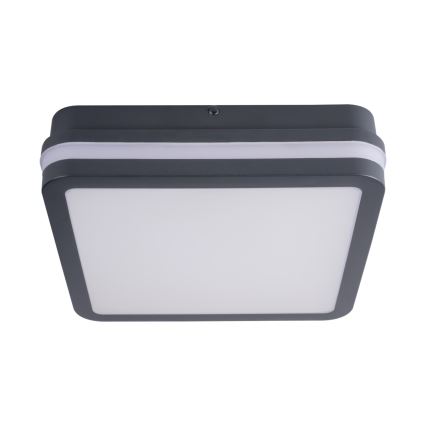 LED udendørslampe BENO LED/24W/230V 4000K IP54 antracit