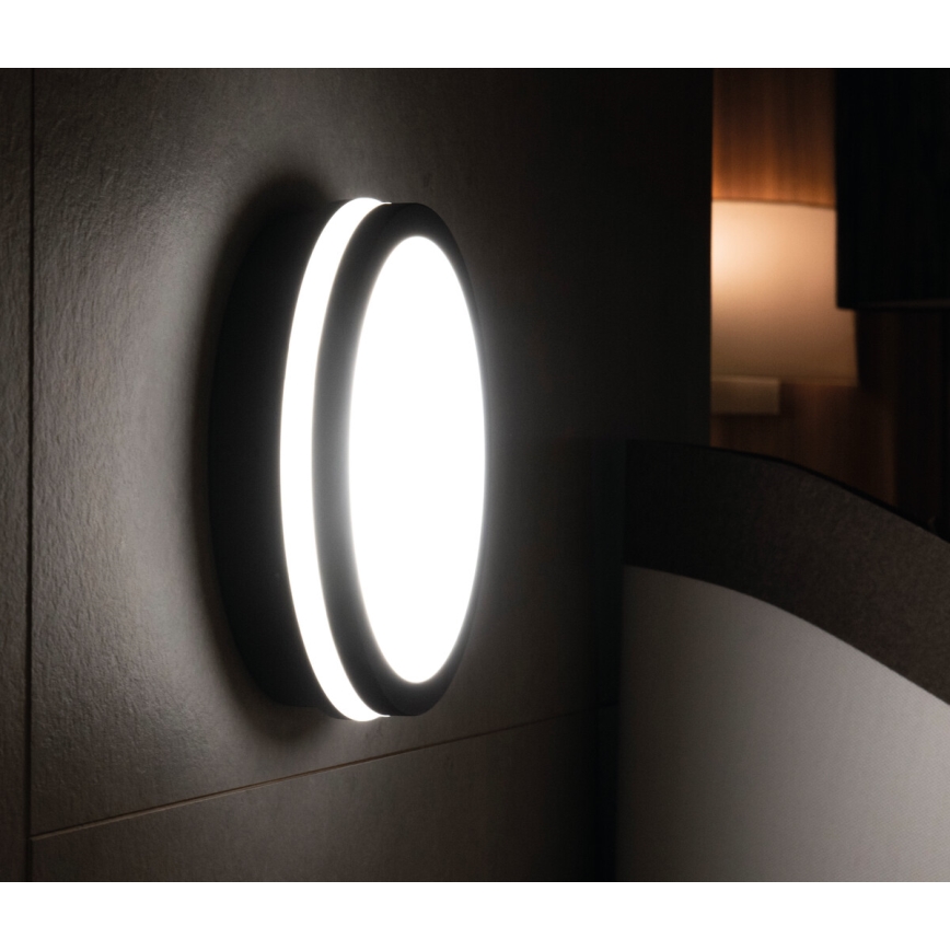 LED sensorlampe med sensor BENO LED/24W/230V 4000K IP54 antracit