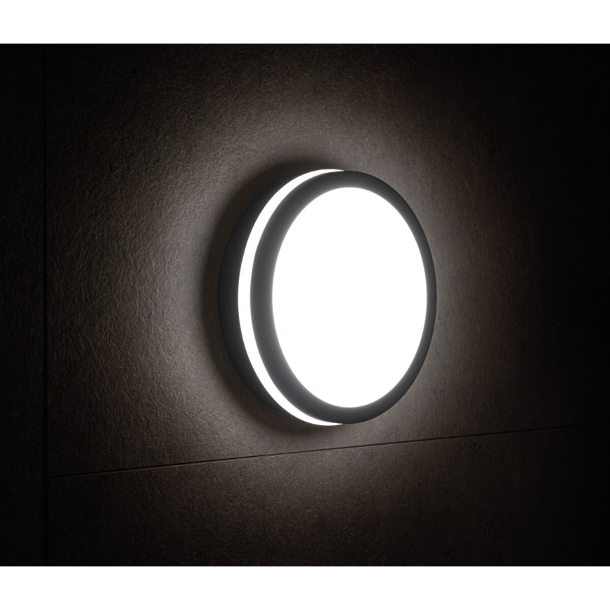 LED sensorlampe med sensor BENO LED/24W/230V 4000K IP54 antracit