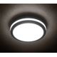 Udendørs LED loftlampe BENO LED/18W/230V 4000K antracitgrå IP54