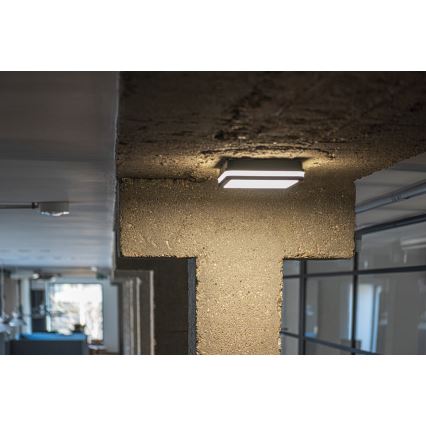 Udendørs LED væglampe BENO LED/18W/230V 4000K antracitgrå IP54