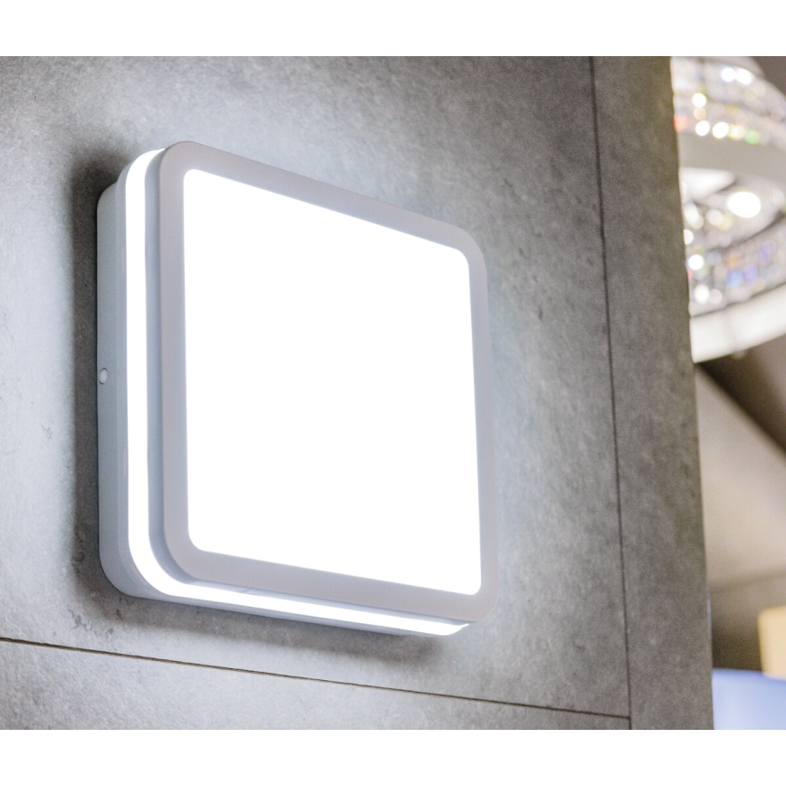 LED loftlampe BENO LED/18W/230V 3000K hvid IP54