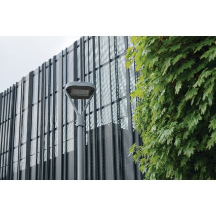 LED gadelampe PARCOLI LED/30/40/50W/230V 3000/4000/6500K IP66 grå