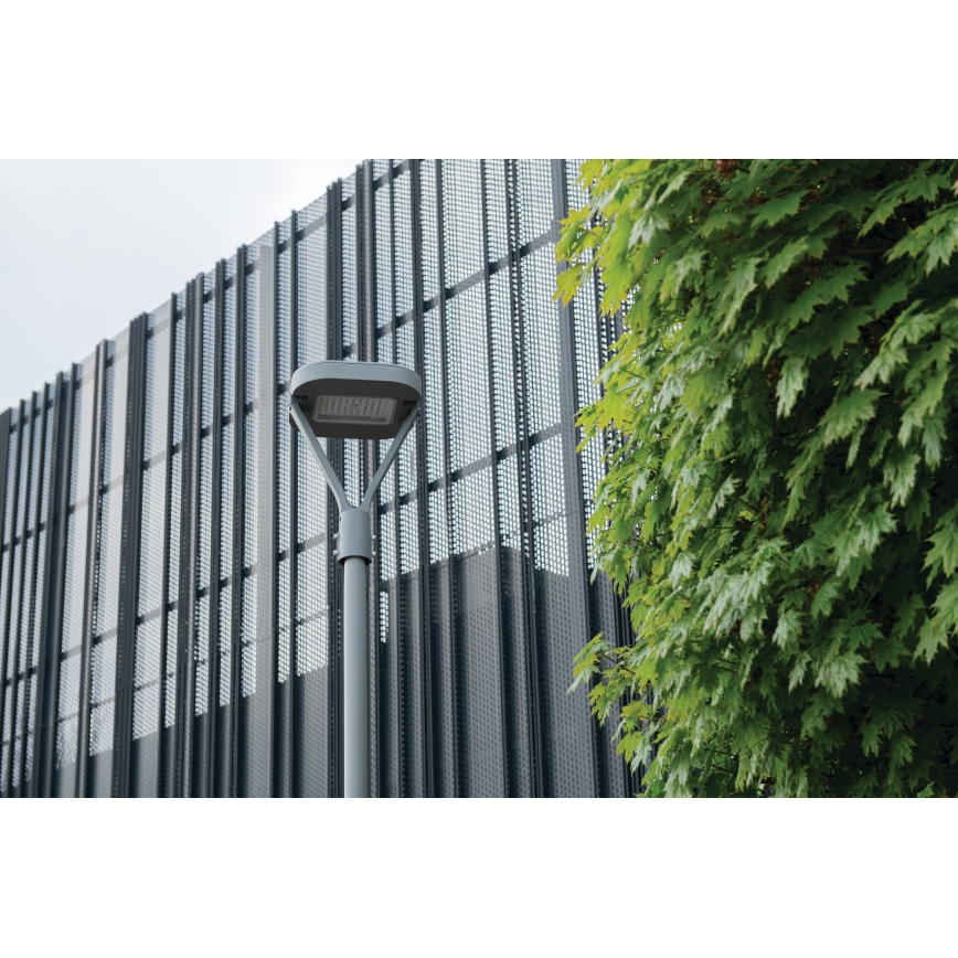 LED gadelampe PARCOLI LED/30/40/50W/230V 3000/4000/6500K IP66 grå