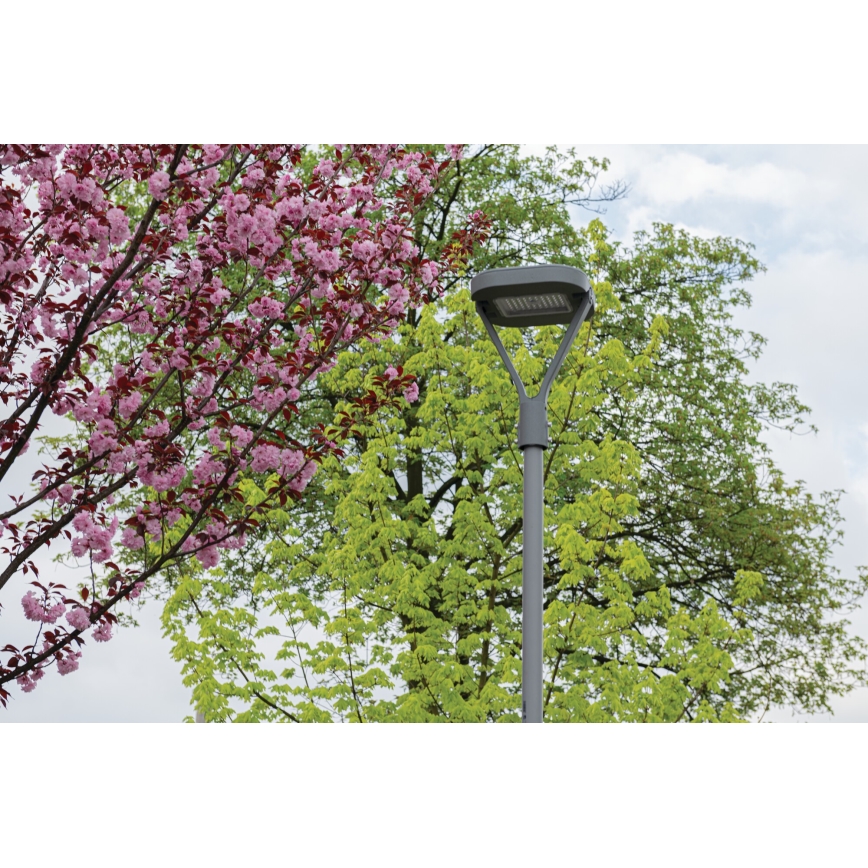 LED gadelampe PARCOLI LED/30/40/50W/230V 3000/4000/6500K IP66 grå