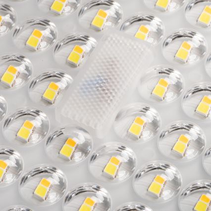 LED gadelampe PARCOLI LED/30/40/50W/230V 3000/4000/6500K IP66 grå