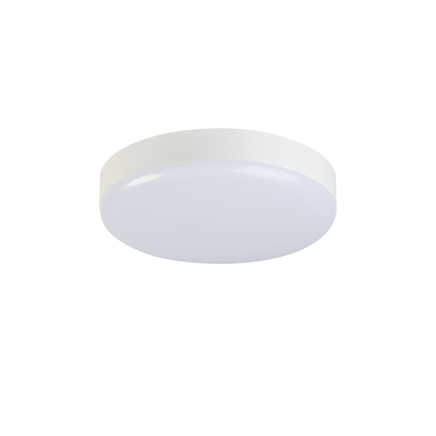 Robust LED loftlampe med bevægelsessensor IPER LED/26W/230V IK10 IP65 rund hvid