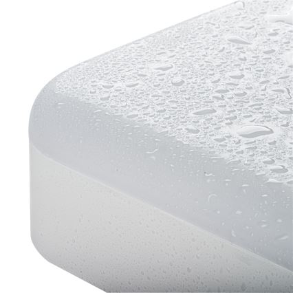 Robust LED loftlampe med bevægelsessensor IPER LED/19W/230V IK10 IP65 kantet hvid