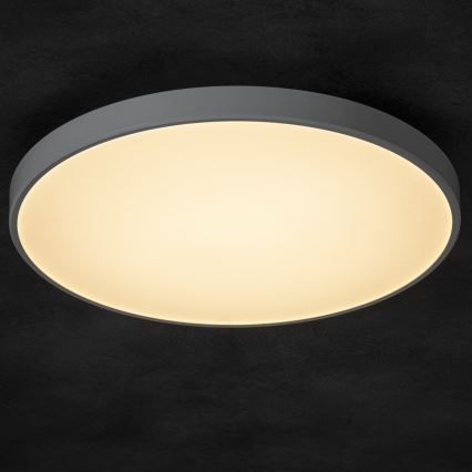 LED loftlampe dæmpbar PLAFON LED/20W/230V 3000-6500K Wi-Fi hvid