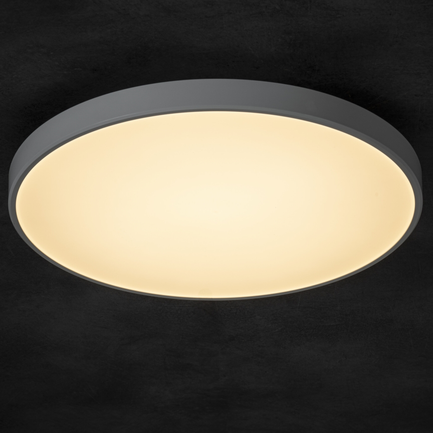 LED loftlampe dæmpbar PLAFON LED/20W/230V 3000-6500K Wi-Fi hvid