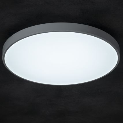 LED loftlampe dæmpbar PLAFON LED/20W/230V 3000-6500K Wi-Fi hvid