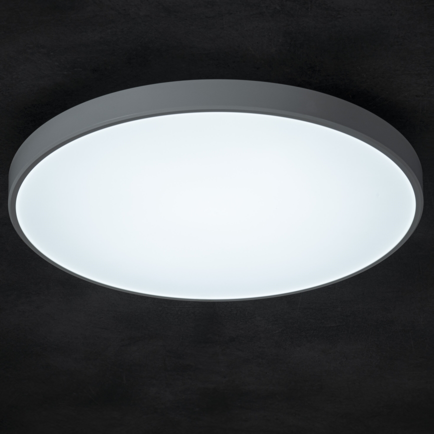 LED loftlampe dæmpbar PLAFON LED/20W/230V 3000-6500K Wi-Fi hvid