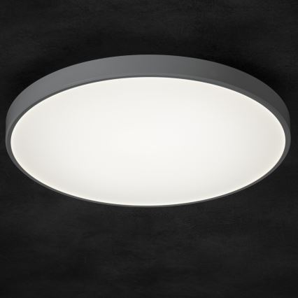LED loftlampe dæmpbar PLAFON LED/20W/230V 3000-6500K Wi-Fi hvid