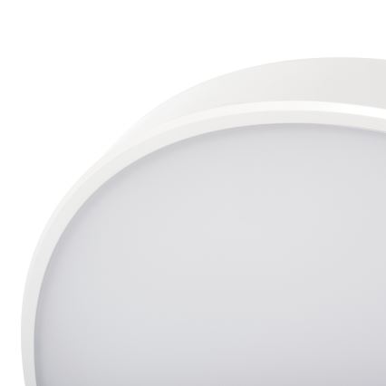 LED loftlampe dæmpbar PLAFON LED/20W/230V 3000-6500K Wi-Fi hvid